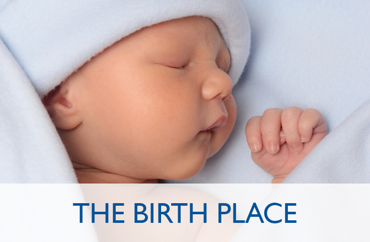 The Birth Place